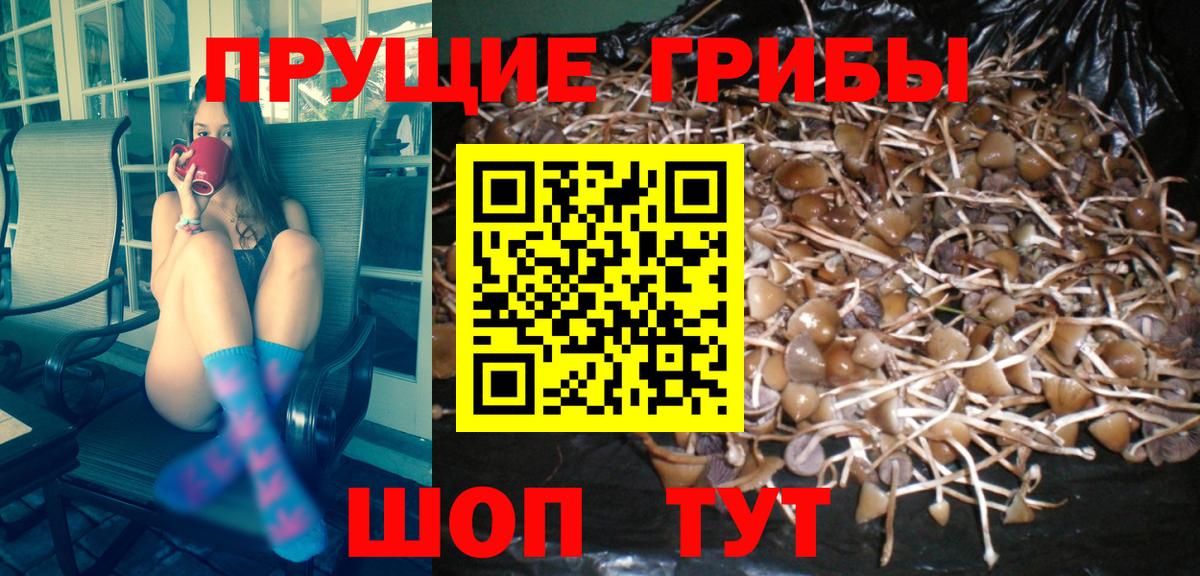 Псилоцибиновые грибы GOLDEN TEACHER  купить   Югорск  Вход с VPN 